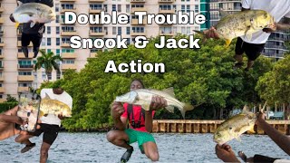 Double Trouble Snook amp Jack Action [upl. by Luann]