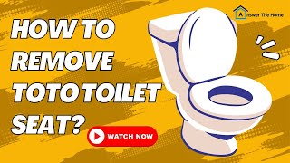 How To Remove TOTO Toilet Seat  Know Now [upl. by Trow]