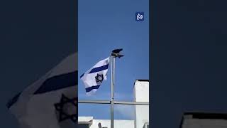 Crow and cat take down Israeli Occupation flag [upl. by Gabbey]