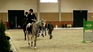 Potęga skoku w damskim siodle  Sidesaddle jump in Janow Podlaski [upl. by Aizitel141]