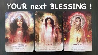 🍀Your NEXT BleSSingS 🍀What’s COMING 🌹Pick a Card TaroT reading🌹 [upl. by Kulda]