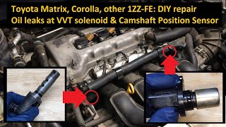 03  08 Toyota Matrix Corolla Oil Leaks  VVT Solenoid Camshaft Position Sensor Orings 1ZZFE [upl. by Boelter]