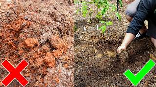 Amending Clay Soil the EASY Way for Homestead Garden [upl. by Tullus738]