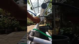 Deep Flow Technique Hydroponic Media [upl. by Tailor]