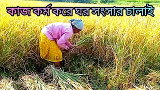 কাজ কর্ম করে ঘর সংসার চালাই আমরাkaj korm kore gor sonsar chalai amrapuruliajyotijoydebvlog [upl. by Atinele239]