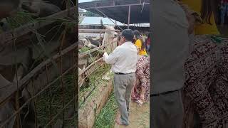 Dada ke Sath khilaya khana babyanimal [upl. by Sweyn]