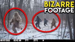 Bizarre Ape Like Creatures Captured on Trail Camera [upl. by Ahsiled]