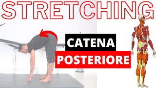 Ginnastica posturale esercizi di STRETCHING della MUSCOLATURA POSTERIORE [upl. by Mitzi]