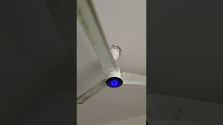 BLDC Ceiling Fan 😉 fan shortvideo fansound shorts viralvideo [upl. by Besnard]