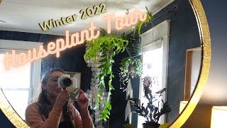 Houseplant Tour Winter 2022 Rare Plants amp Common Plants [upl. by Werner]