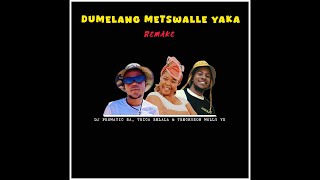 DJ Promatic SA Trica Selala amp Trechyson Molly vx  Dumelang Metswalle Yaka RemakeAmapiano [upl. by Vyner161]