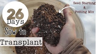 How To Make Seed Starting Mix and Potting Soil UNBELIEVABLE Results [upl. by Annis]