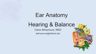 Ear  Hearing amp Balance  Dana Almazroua  HNS 242 PAL review session [upl. by Nickolas]