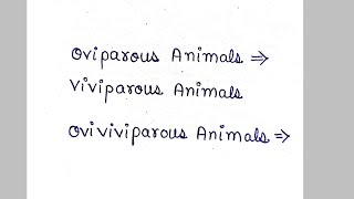 oviparous animals  viviparous animals  ovoviviparous animals [upl. by Rednal]