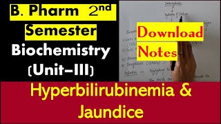 64 Part 171 hyperbilirubinemia and jaundice Amino acid metabolism B Pharm 2 Sem Biochemistry [upl. by Rodney]