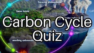 Test Your Knowledge on the Carbon Cycle 🌍 How Many Can You Get Right [upl. by Acirrej]