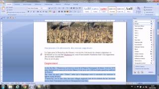 Comment créer des styles et les documents longs sur Word [upl. by Burne130]