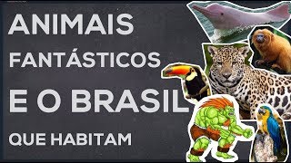 Animais Fantásticos e o BRASIL que habitam [upl. by Aicnatsnoc339]