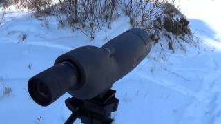 Simmons 2060x60mm Spotting Scope quotWhy you need onequot [upl. by Kcirdla]