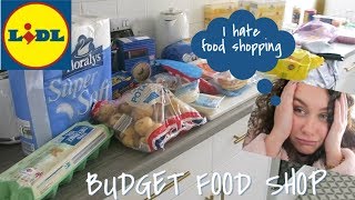 LIDL FOOD SHOP HAUL amp MEAL PLANNING [upl. by Veats]