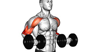 Best Bicep Exercises You Should Be Doing Dumbbell Only [upl. by Hafital303]