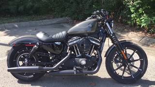 2019 HarleyDavidson 883 Iron Industrial Gray [upl. by Cyrie722]