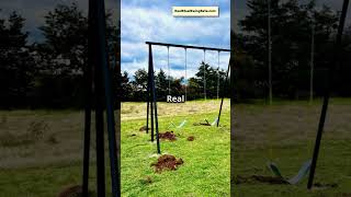 Real Steel Swing Sets Can Survive A Tornado [upl. by Ttegirb]