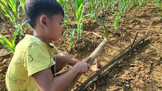 The orphan boy dug up the soil made beds and sowed vegetable seeds againLy Đăng [upl. by Oile]