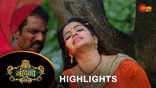 Nandini Ka Pratishod  Highlights  01 Nov 2024  Hindi Serial  Full Ep FREE on SUN NXTSun Neo [upl. by Jobe]