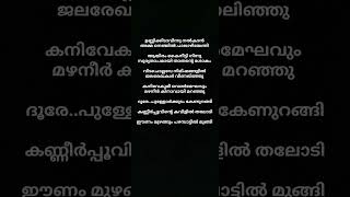 kanneer poovintesong lyrics malayalam music shorts lyrics malayalam song Irfanachemban [upl. by Nivart104]