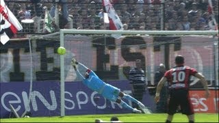 Ligue 1  Week 30  best goalkeeper saves  201213 [upl. by Rebeh239]