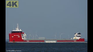 EGBERT WAGENBORG  Shipspotting Germany 🇩🇪 IMO 9802695  River Elbe near City Otterndorf  4K VIDEO [upl. by Bernstein]