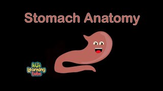 The Stomach Anatomy Song [upl. by Yazbak]