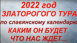 2022  год какого животного по славянскому календарю Каким будет 2022 год Что нас ждет [upl. by Airamalegna]