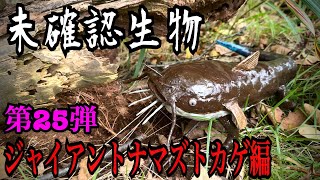 【未確認生物】ジャイアントナマズトカゲ見つけるまで帰れません！！！！ [upl. by Townsend]