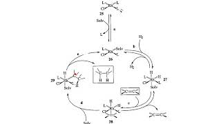 W2L3 catalytic cycles 1 [upl. by Amann]