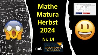 Matura 2024 Nebentermin 1 Herbst Nr 14 Differenzen und Differenzialquotient [upl. by Emelina529]