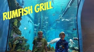 Rumfish Grill St Pete Beach Aquarium [upl. by Arv]