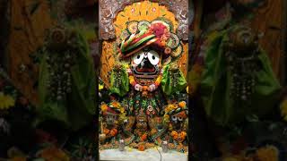 Jay Jagannath [upl. by Aihsad]