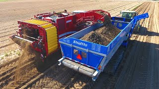 Harvesting Potatoes in California with the Crop Shuttle [upl. by Farika]