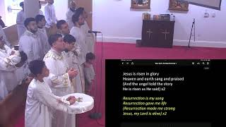 Livestream from St Mary and St Athanasius Church [upl. by Anaerda]