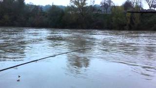 casse dun gros silure sur le tarn au leurre [upl. by Eddana450]