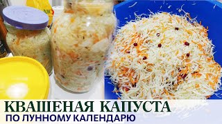 КВАШЕНАЯ КАПУСТА • ПО ЛУННОМУ КАЛЕНДАРЮ 🌙 Лучший способ ферментации👍🥗 [upl. by Illac]