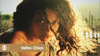 Velho Chico veja cenas da novela das 9 da Globo [upl. by Eenal]