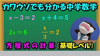 方程式の計算（基礎レベル） [upl. by Nodroj]