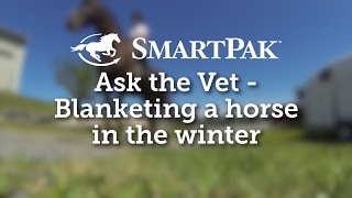 Ask the Vet  Blanketing a horse in the winter [upl. by Beera]