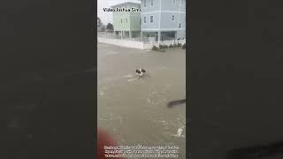 Flood in Fort Myers of Florida florida milton hurricane [upl. by Weisberg]