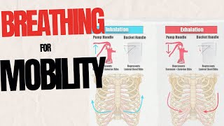 Breathing For Mobility [upl. by Aihseyt]