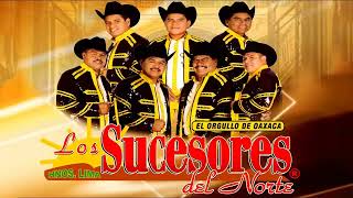 Los Sucesores del Norte 2022  Corridos y Cumbias De Recuerdos Mix Pa Pistear [upl. by Alek506]