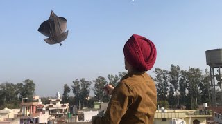 Flying kites Festival  BIR RAMGARHIA [upl. by Suneya]